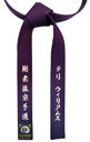 Purple Color Belt